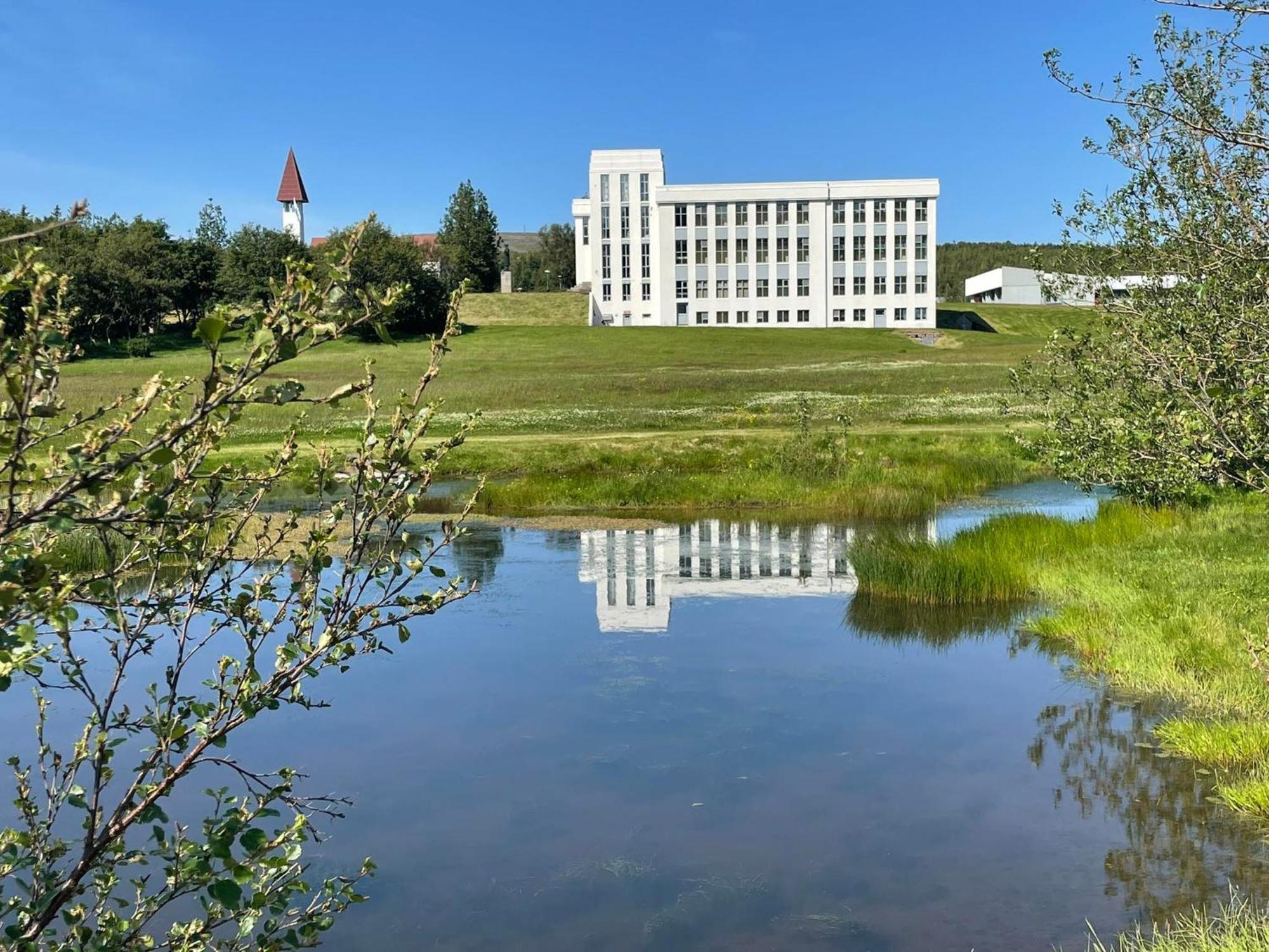 Holt Villa Reykholt  Exterior foto